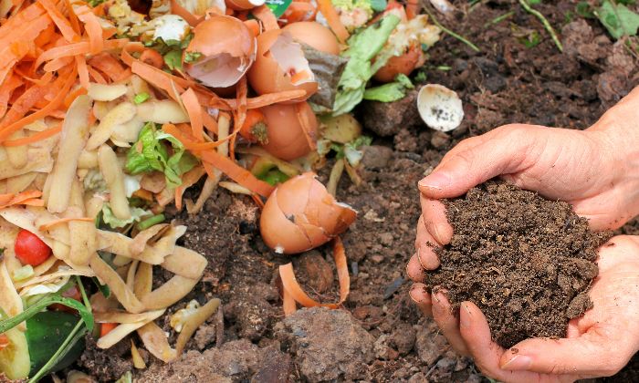 biogener Kchenabfall und fertiger Kompost, der von 2 Hnden gehalten wird