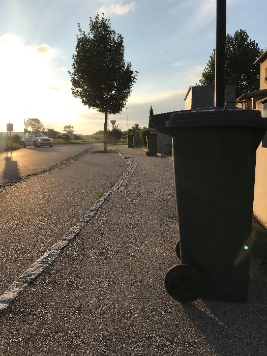 3 Mülltonnen stehen in einer Straße bereit zur Abholung bei Sonnenaufgang